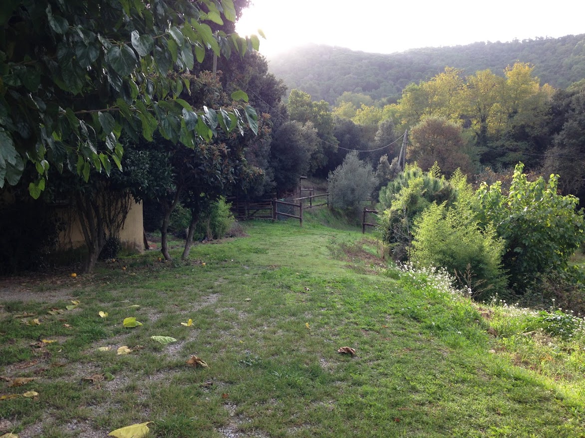 Sale of renovated farmhouse in Llinars del Valles